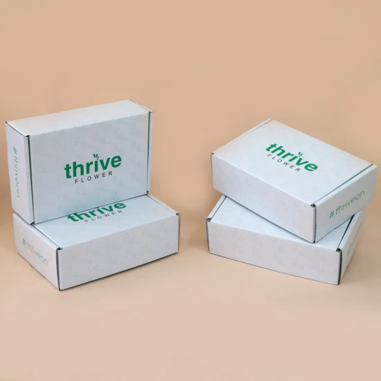 Pelucas con logotipo de doble cara reciclada, regalo de maquillaje, cartón, envío, embalaje cosmético blanco, caja personalizada impresa